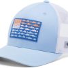 Sail, Vivid Blue, Fish Flag Fade